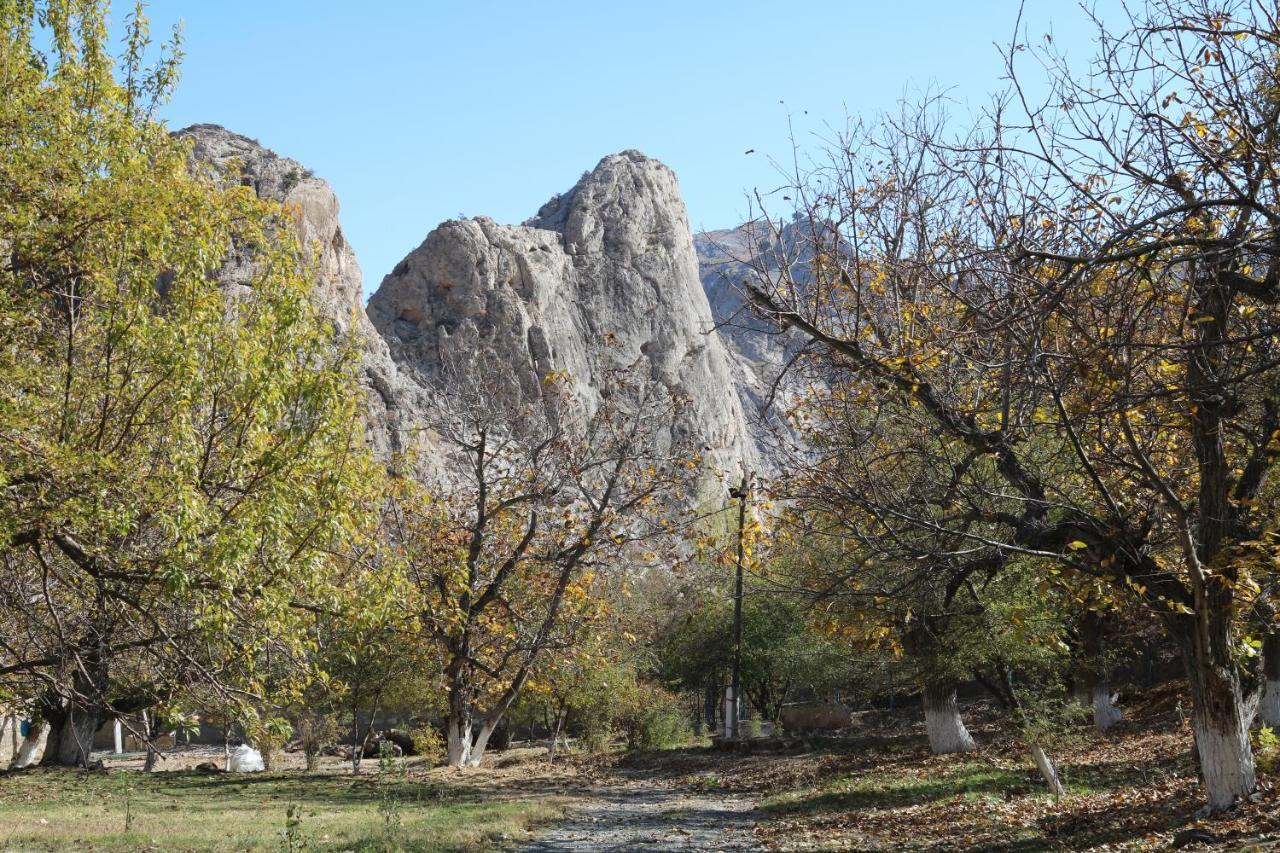 Sayyod Yurt Camp - Mountain Escape Ξενοδοχείο Chuprak Εξωτερικό φωτογραφία